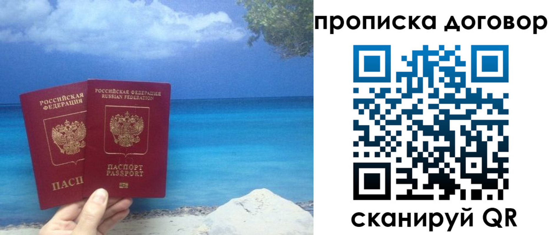 прописка в Кольчугино